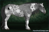 Horse Color:Black Ice 