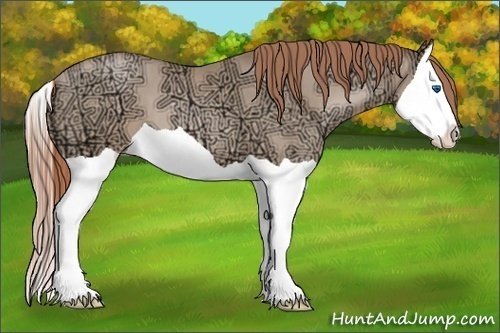 Horse Color:Smoky Black Ice Pearl Splash 
