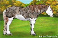 Horse Color:Smoky Black Ice Pearl Splash