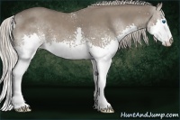 Horse Color:White Spotted Silver Grullo Splash 
