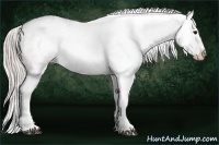 Horse Color:White Spotted Silver Black Tobiano Appaloosa Rabicano