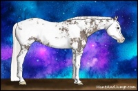 Horse Color:Silver Black Sabino