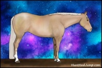 Horse Color:Silver Black Pearl Sabino 