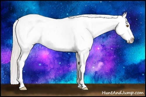 Horse Color:Silver Black Pearl Sabino Appaloosa 