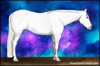 Horse Color:Silver Black Pearl Sabino Near Leopard