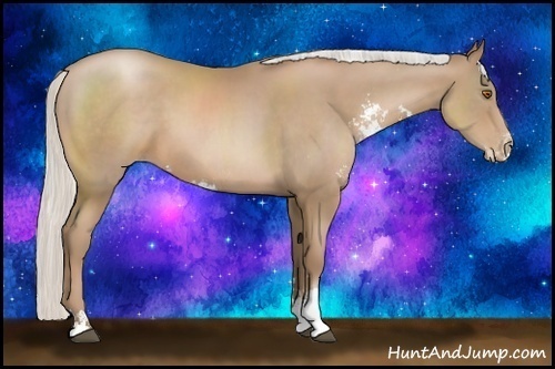 Horse Color:Silver Black Pearl Sabino 