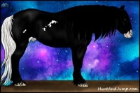 Horse Color:Silver Buckskin Ice Near Leopard