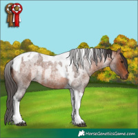 Horse Color:Brown Roan Tobiano Rabicano  and Brown Roan Tobiano Rabicano 