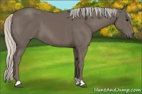 Horse Color:Silver Black 