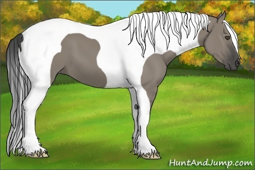 Horse Color:Smoky Grullo Tobiano Frame