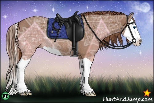 Horse Color:Chestnut Ice Splash Rabicano