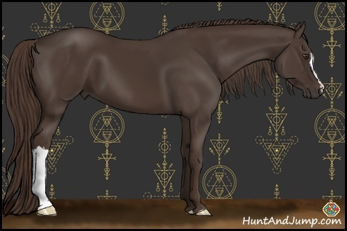 Horse Color:Liver Chestnut 
