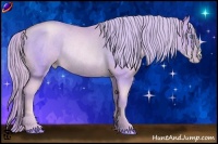 Horse Color:Watercolor Palomino Pearl Rabicano