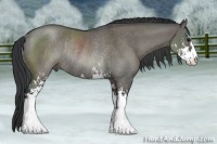 Horse Color:Grullo Sabino Rabicano 