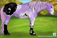Horse Color:Watercolor Liver Chestnut Sabino Snowcap