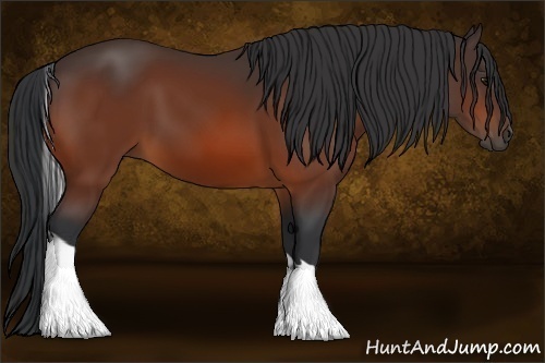 Horse Color:Bay Tobiano 