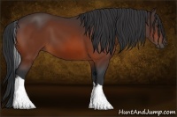 Horse Color:Bay Tobiano