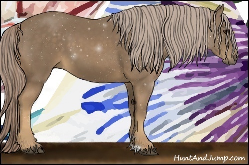 Horse Color:Chocolate Palomino 