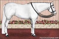Horse Color:Silver Black Chinchilla Tobiano Appaloosa 