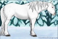 Horse Color:Silver Grullo Chinchilla Appaloosa Rabicano 