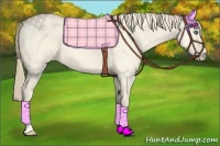 Horse Color:Perlino Dun