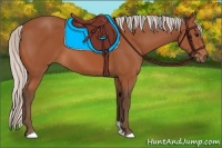 Horse Color:Silver Bay 