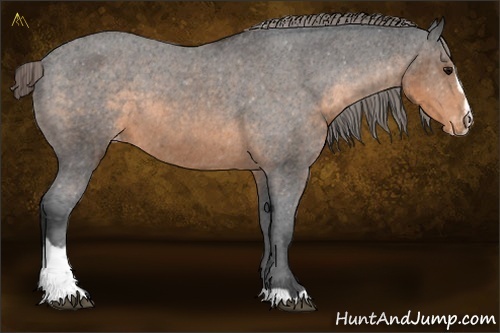Horse Color:Buckskin Sabino Varnish