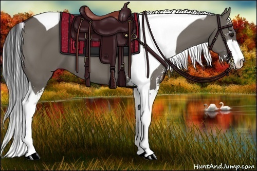 Horse Color:Smoky Grullo Sabino Tobiano