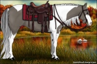 Horse Color:Smoky Grullo Sabino Tobiano