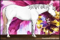 Horse Color:Amber Champagne Snowcap 