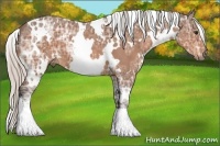 Horse Color:White Spotted Silver Bay Ice