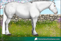 Horse Color:Chocolate Silver Black Chinchilla Sabino 