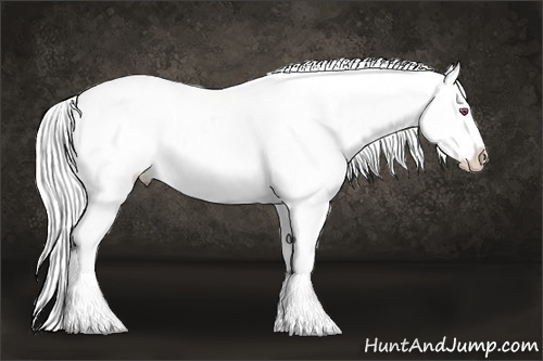Horse Color:Silver Brown Chinchilla Tobiano Varnish Rabicano