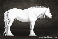 Horse Color:Silver Brown Chinchilla Tobiano Varnish Rabicano