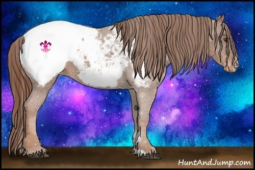 Horse Color:Chestnut Sabino Snowcap 