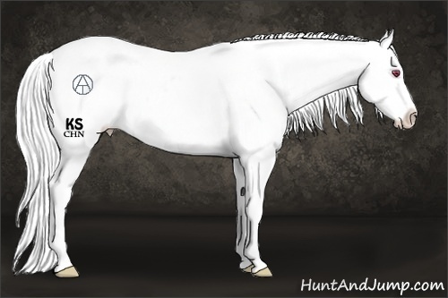 Horse Color:Silver Smoky Black Chinchilla Ice Pearl Appaloosa Rabicano 