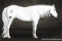Horse Color:Silver Smoky Black Chinchilla Ice Pearl Blanket Rabicano