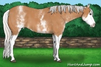 Horse Color:White Spotted Silver Bay Splash 