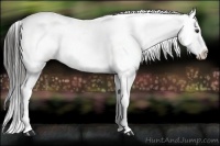 Horse Color:Liver Chestnut Snowflake Varnish
