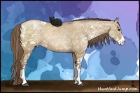 Horse Color:Grullo Ice Pearl Sabino Rabicano