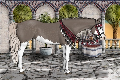 Horse Color:Silver Black Splash