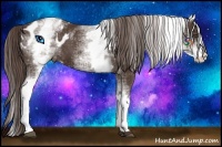Horse Color:White Spotted Liver Chestnut Blanket