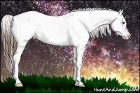 Horse Color:Liver Chestnut Sabino Appaloosa Rabicano