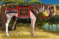 Horse Color:Chestnut Ice 