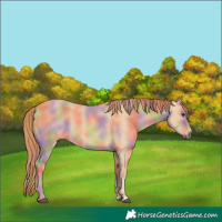 Horse Color:Nacre Red Dun 