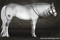 Horse Color:Silver Bay Chinchilla Sabino 