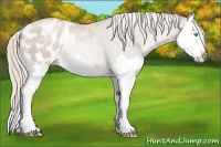 Horse Color:Chocolate Palomino Roan Pearl Splash Blanket Rabicano