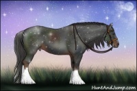 Horse Color:White Spotted Liver Chestnut Sabino 