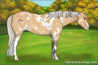 Horse Color:White Spotted Silver Bay Dun Sabino