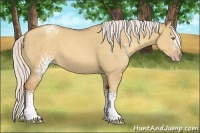Horse Color:White Spotted Silver Classic Champagne Dun Sabino 